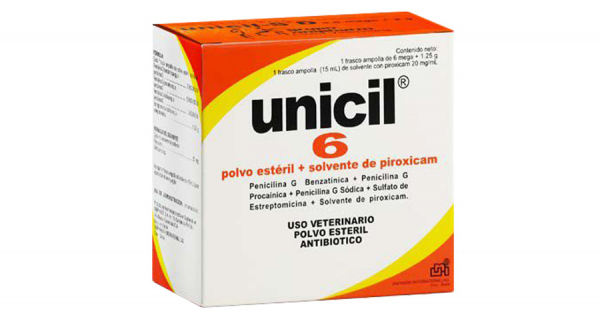 Unicil 6