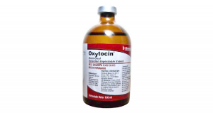 Oxytocin